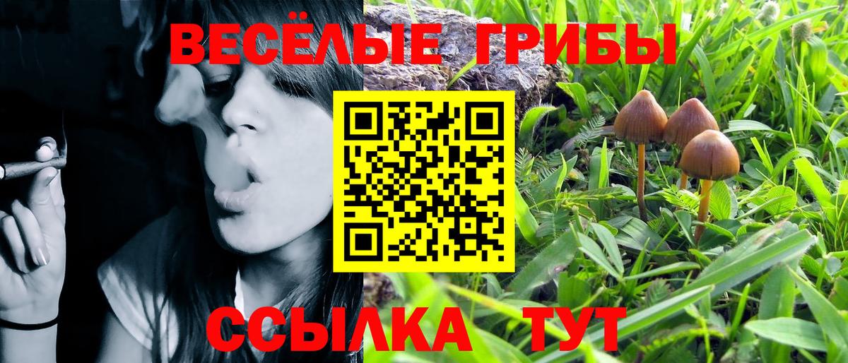 Псилоцибиновые грибы мухоморы Семёнов