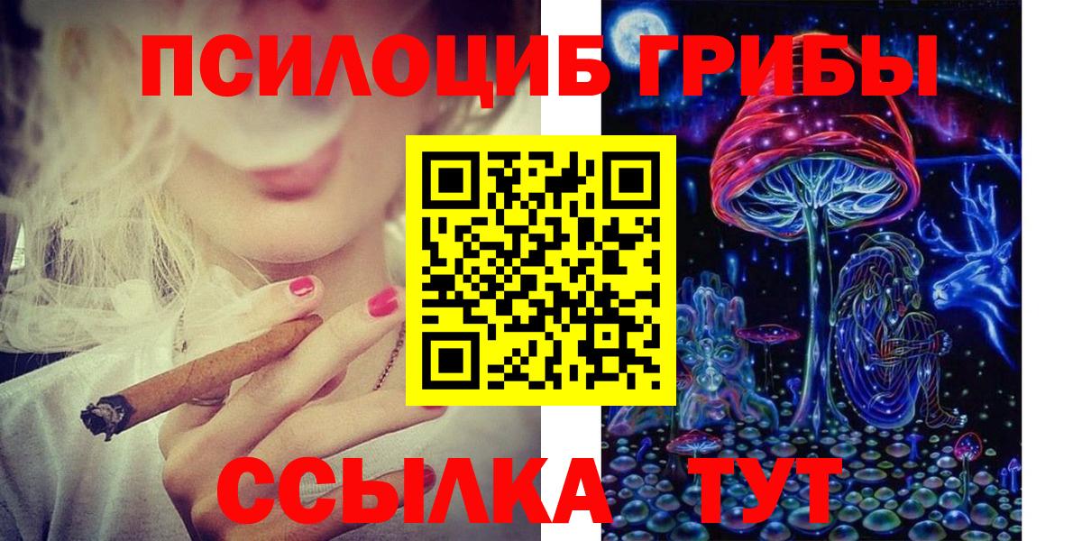 Псилоцибиновые грибы Cubensis  Вход с VPN  Семёнов  Псилоцибиновые грибы прущие грибы 
